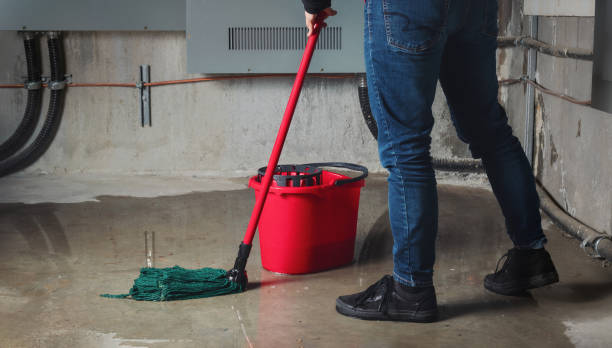 Best Residential water damage restoration  in Prophetstown, IL
