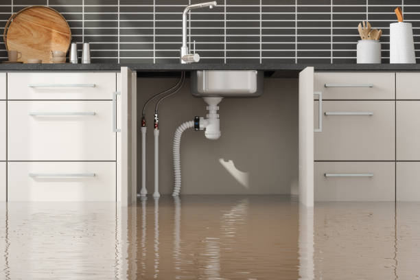 Best Local water damage restoration  in Prophetstown, IL
