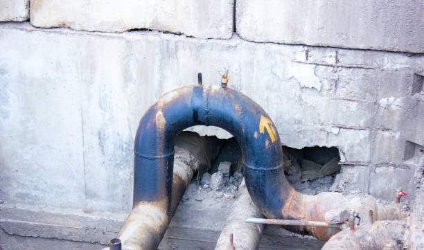 Best Sewage cleanup and water damage restoration  in Prophetstown, IL