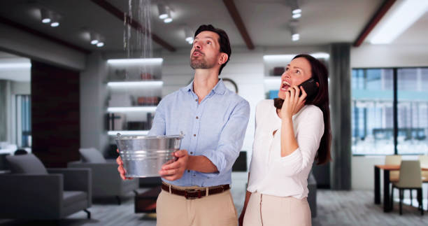 Best 24/7 water damage repair  in Prophetstown, IL