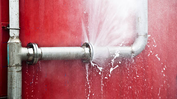 Best Carpet water damage restoration  in Prophetstown, IL